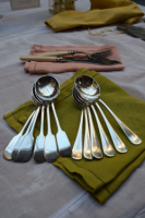 Antique Spoon Sets